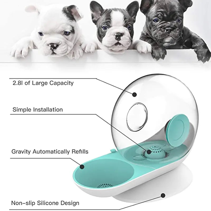 Snails Bubble Cat Water Fountain Automatic